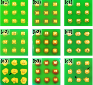 高濕度下放置14天后的焊點(diǎn) 搞濕度下放置14天后的焊點(diǎn)